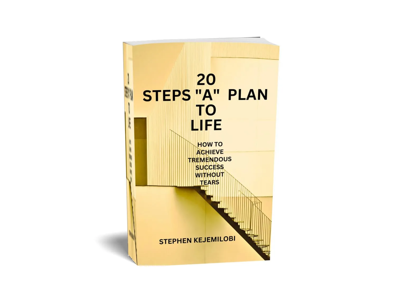 20 Steps 'A'Plan to Life - Achieve Tremendous Success Without Tears