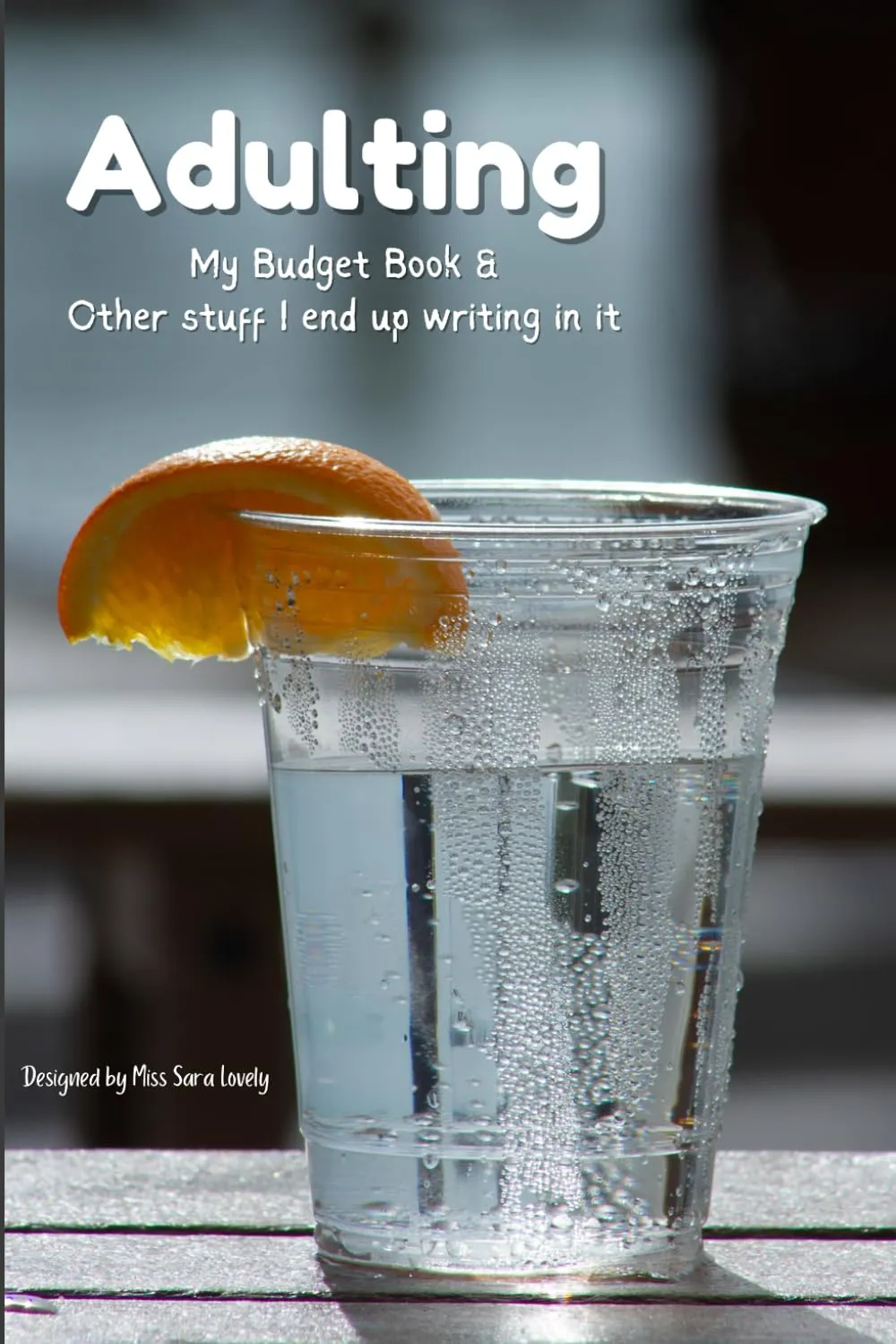 Adulting Budget Book for Financial Planning and Tracking by Mometrix