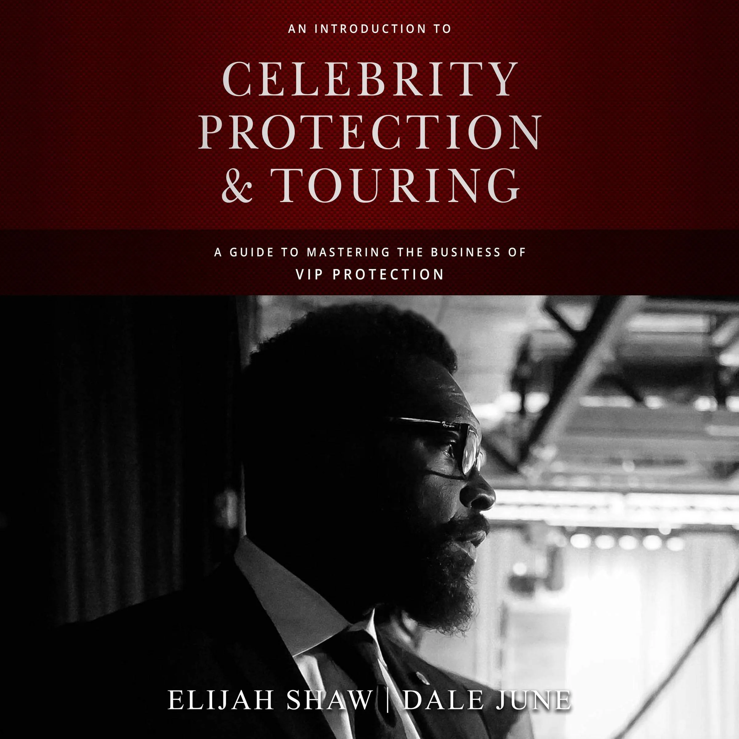 An Introduction to Celebrity Protection and Touring: Mastering VIP Protection Strategies