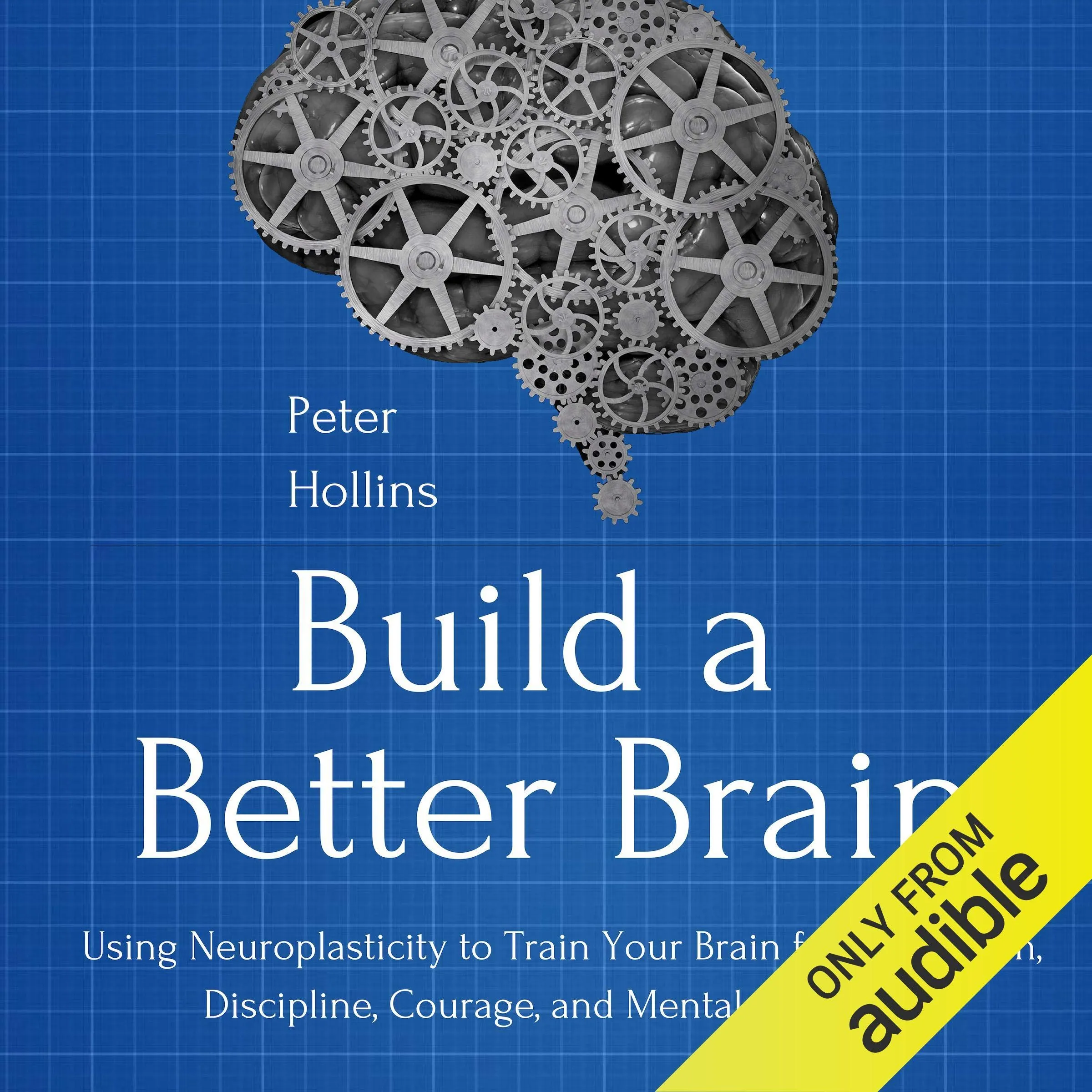 Build a Better Brain Audiobook: Neuroplasticity for Motivation, Discipline & Mental Sharpness