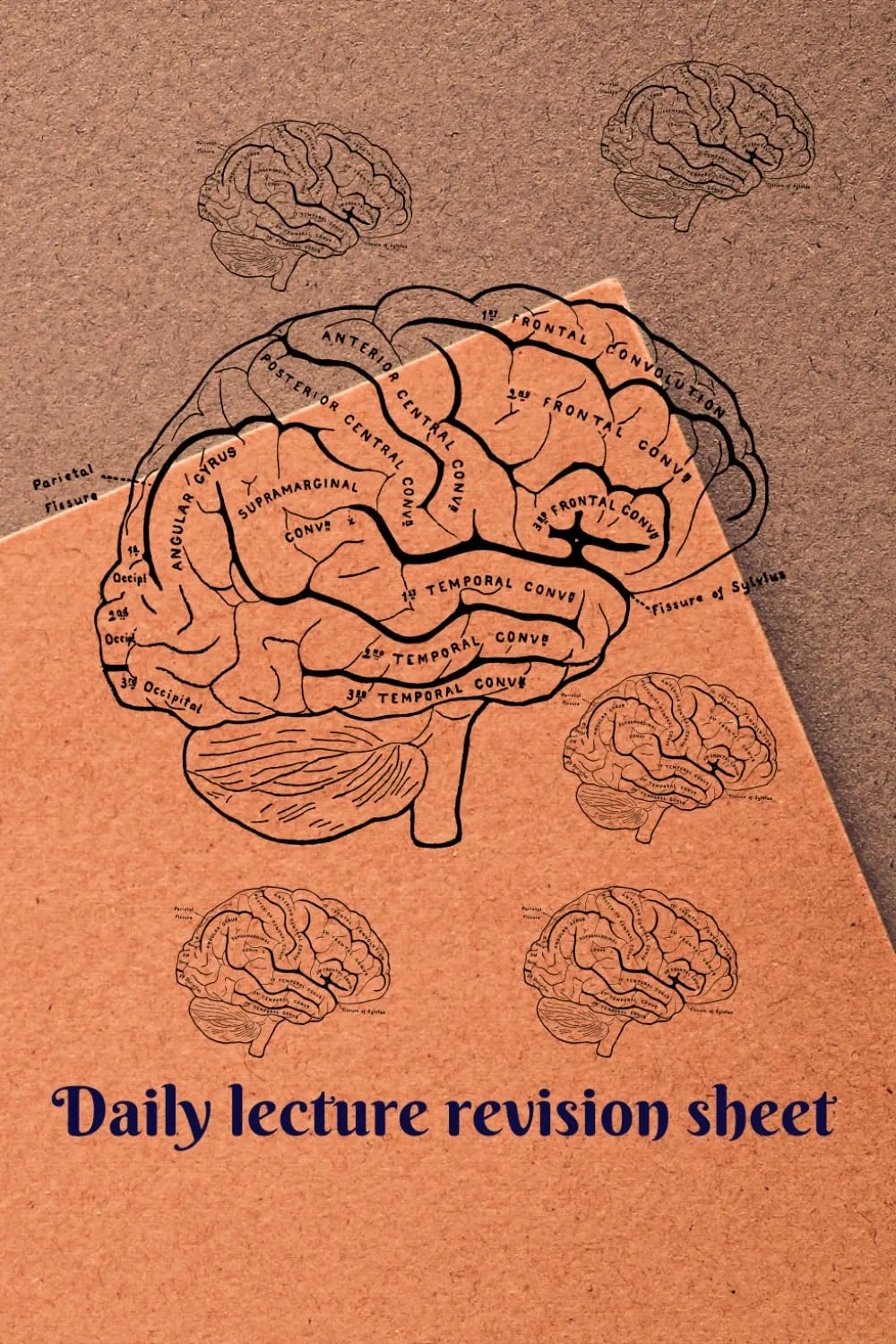 Daily Lecture Revision Sheet Journal for Medical & Nursing Students