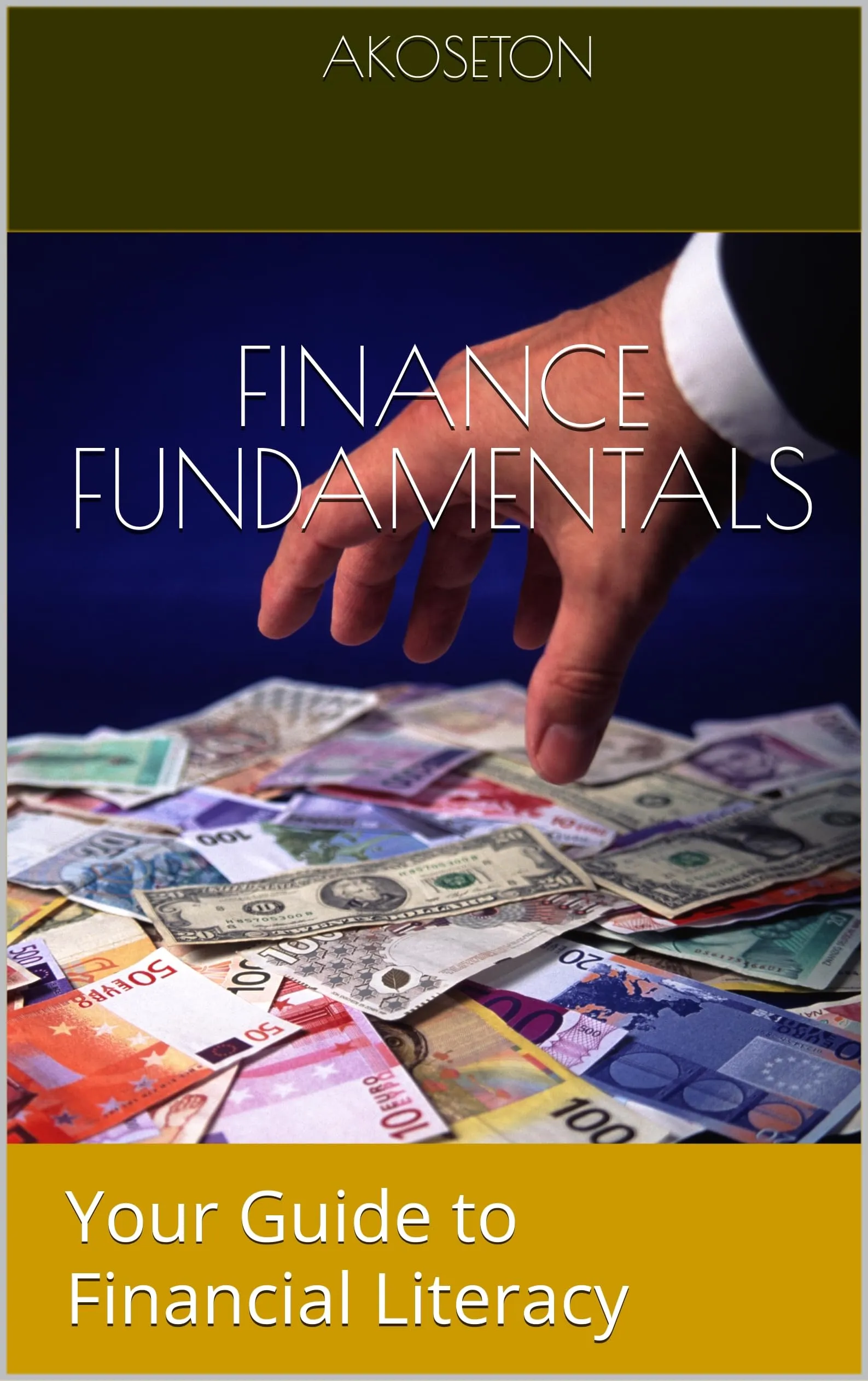 Finance Fundamentals Guide to Financial Literacy by Silly Beagle Productions