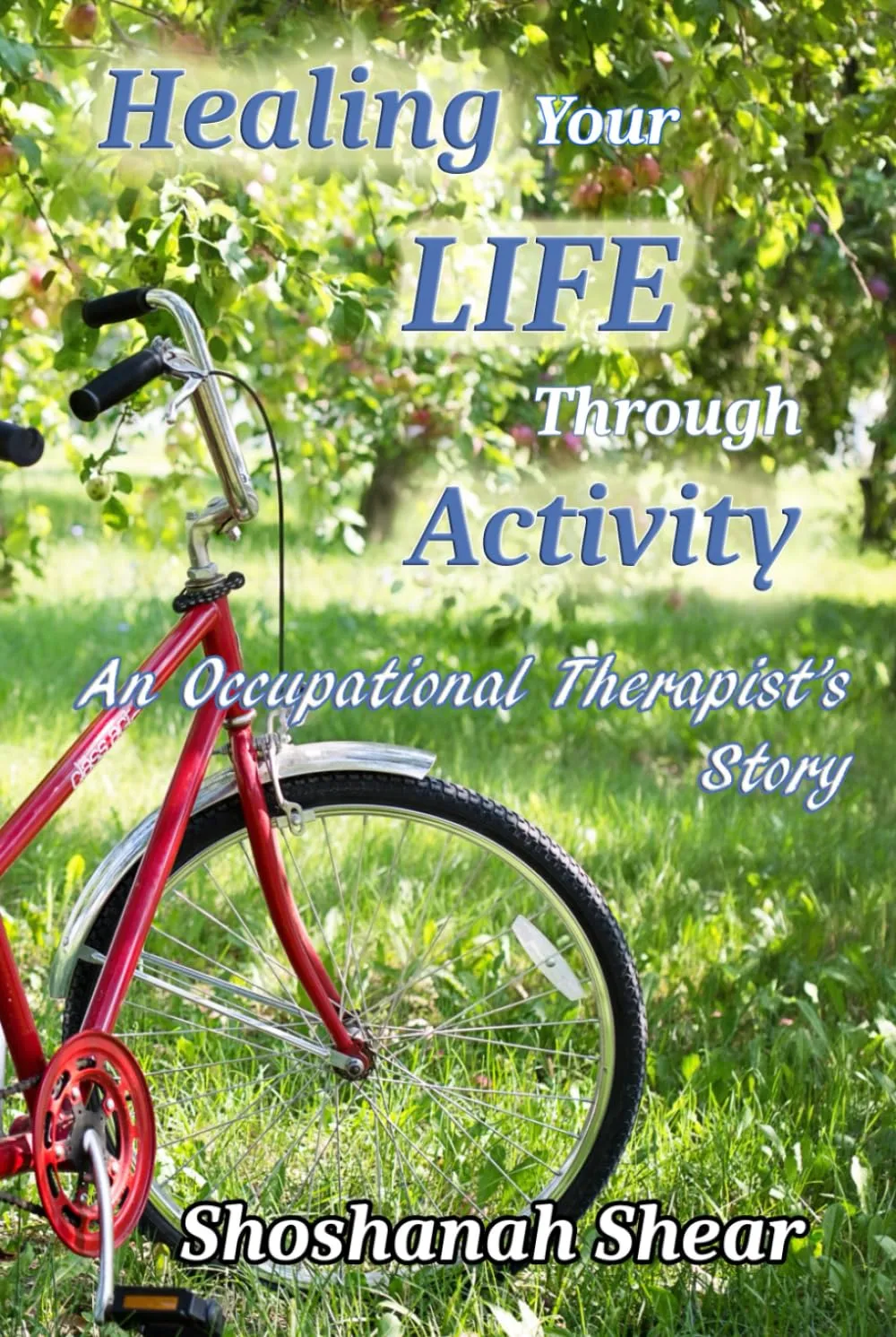 Healing Your Life Through Activity: An Occupational Therapist's Journey by Houghton Mifflin Harcourt