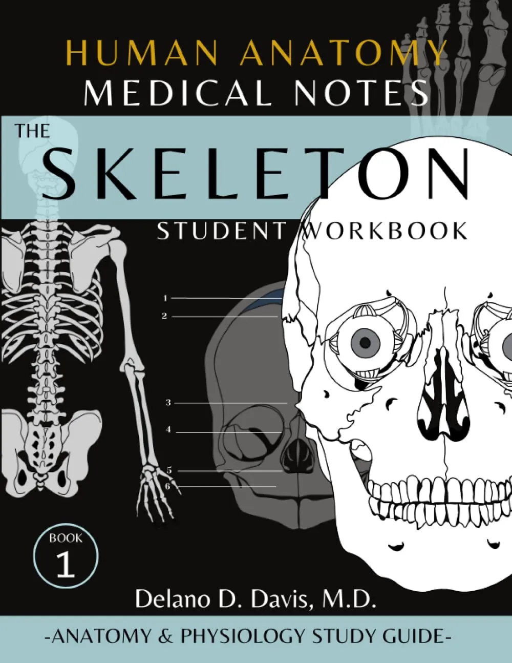 Human Anatomy Skeletal System Workbook