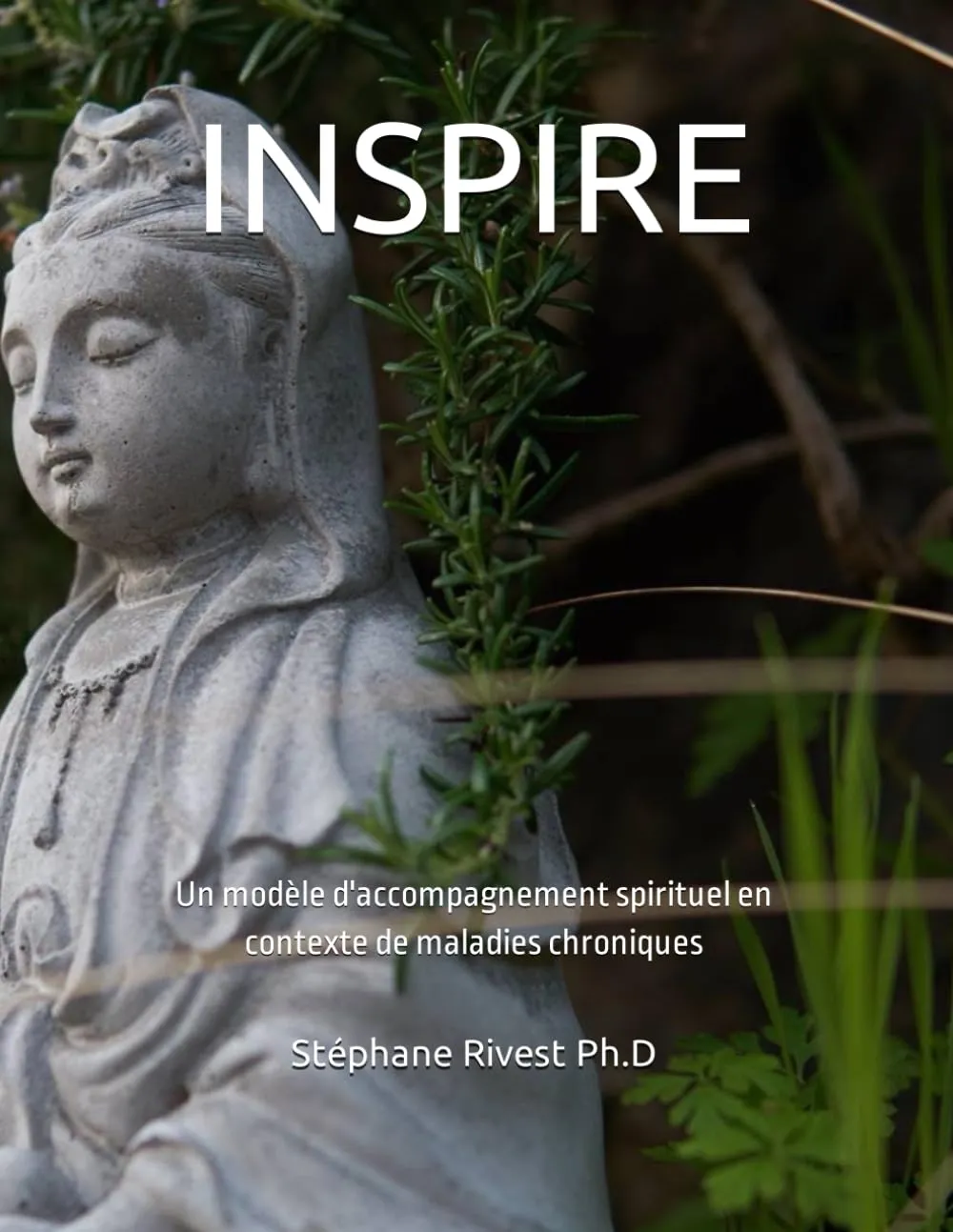 INSPIRE: Guide d'accompagnement spirituel pour maladies chroniques - Quick Learn Guides