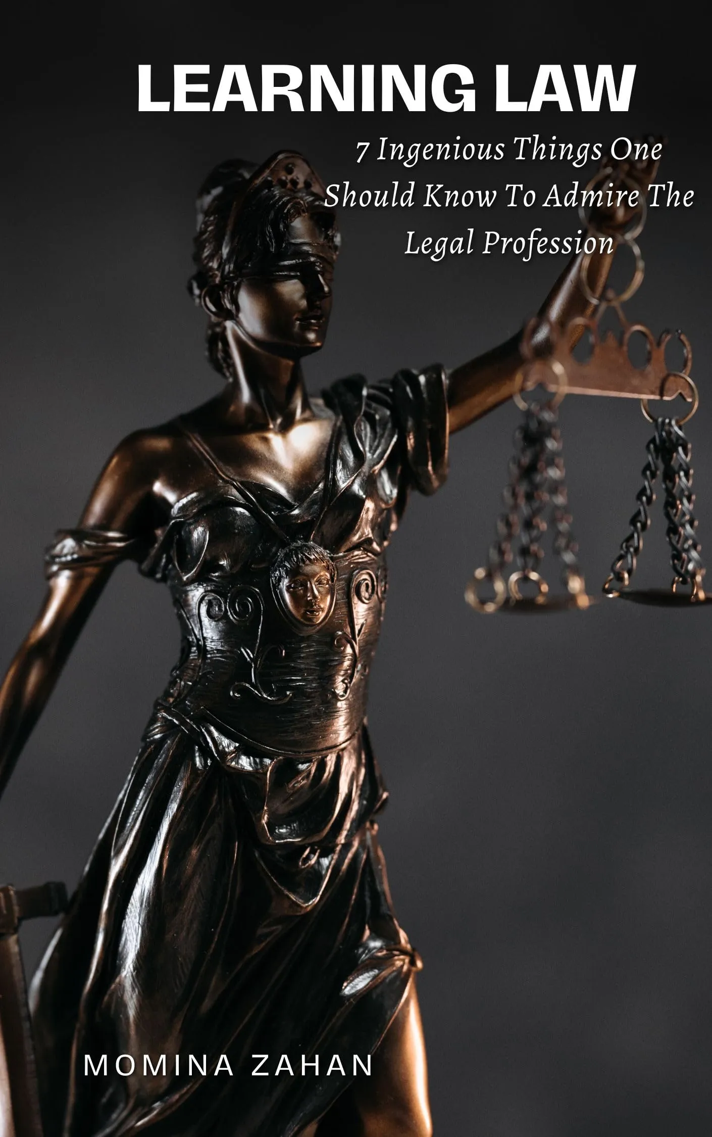 Learning Law: 7 Ingenious Reasons to Admire the Legal Profession - Princeton Review