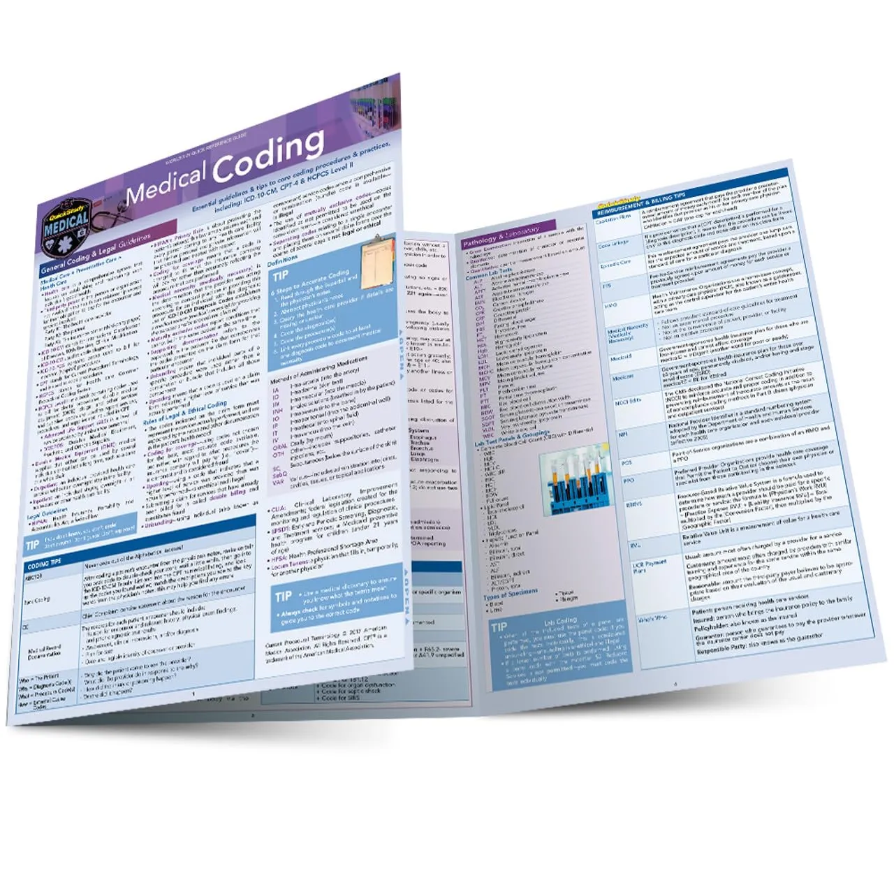 Medical Coding QuickStudy Laminated Reference Guide - 2018 ICD-10 Essentials for Certification