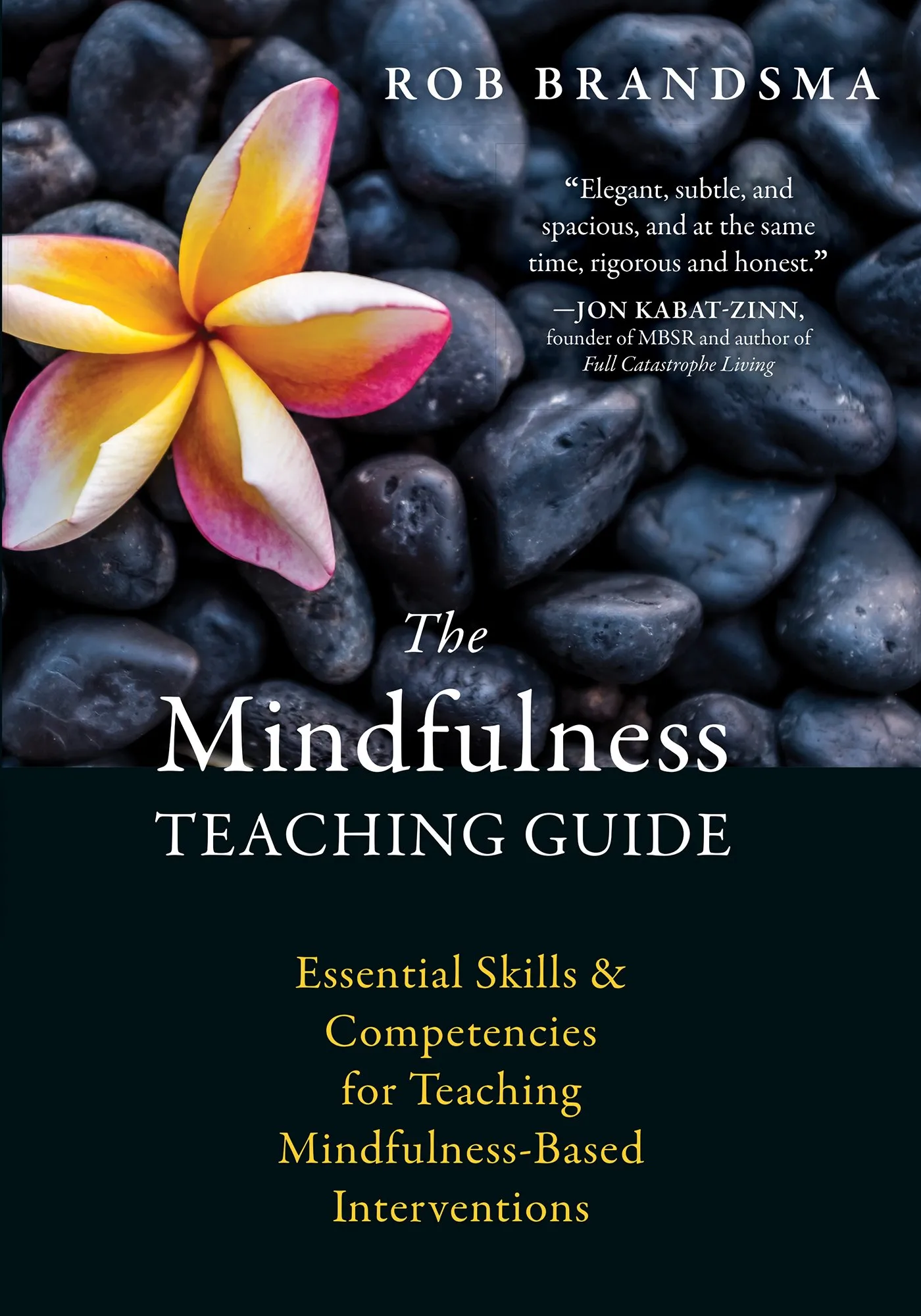 Mindfulness Teaching Guide: Essential Skills for Effective Mindfulness-Based Interventions