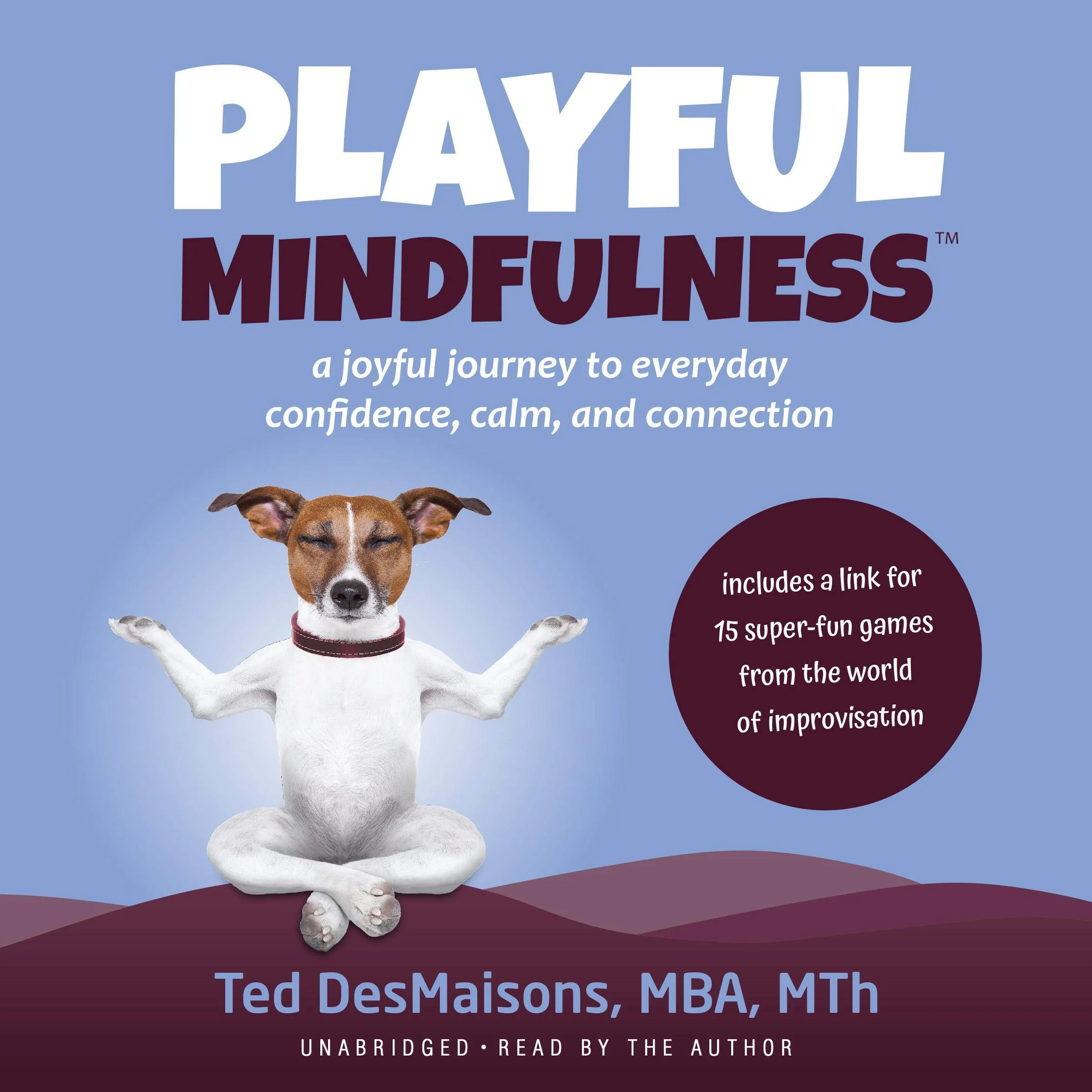 Playful Mindfulness Audiobook: Embrace Confidence, Calm & Connection with Ted DesMaisons