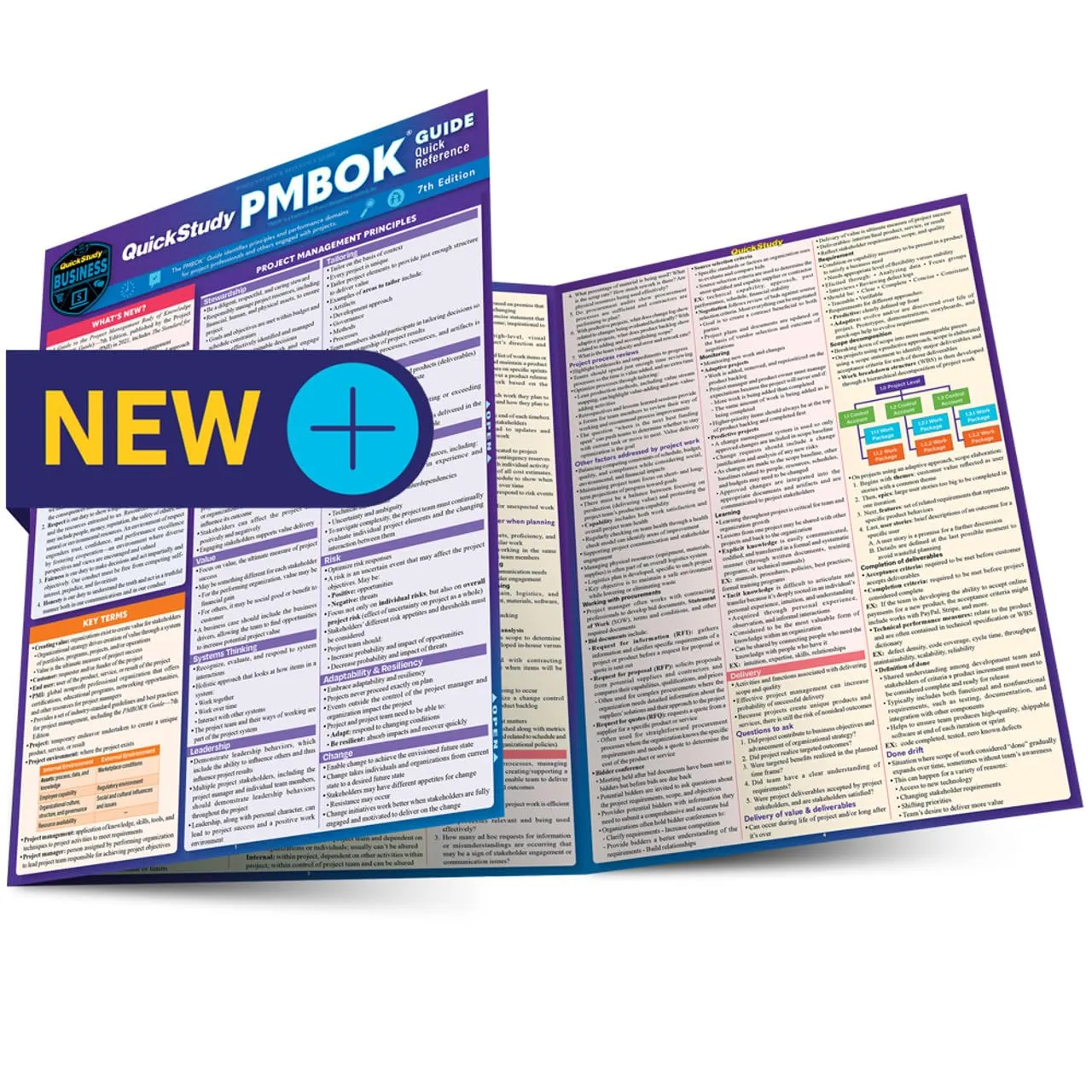 PMBOK Guide Quick Reference 7th Edition Laminated Tool for PMP Certification Success