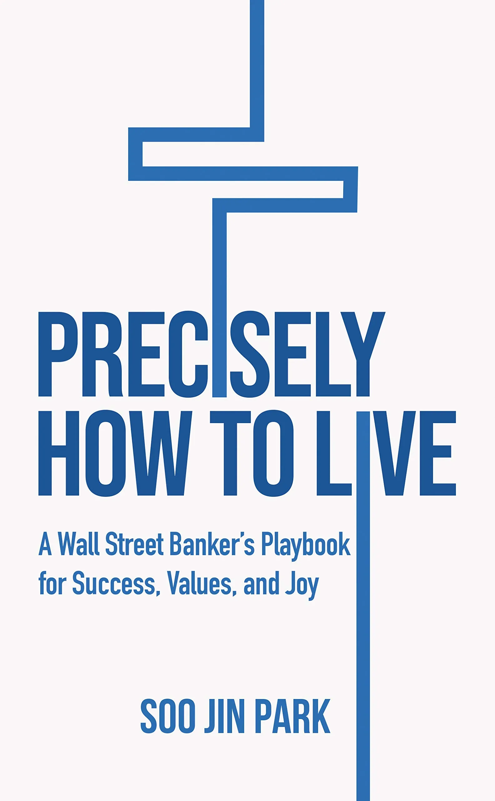 Precisely How to Live: Wall Street Banker's Guide to Success, Values, and Joy