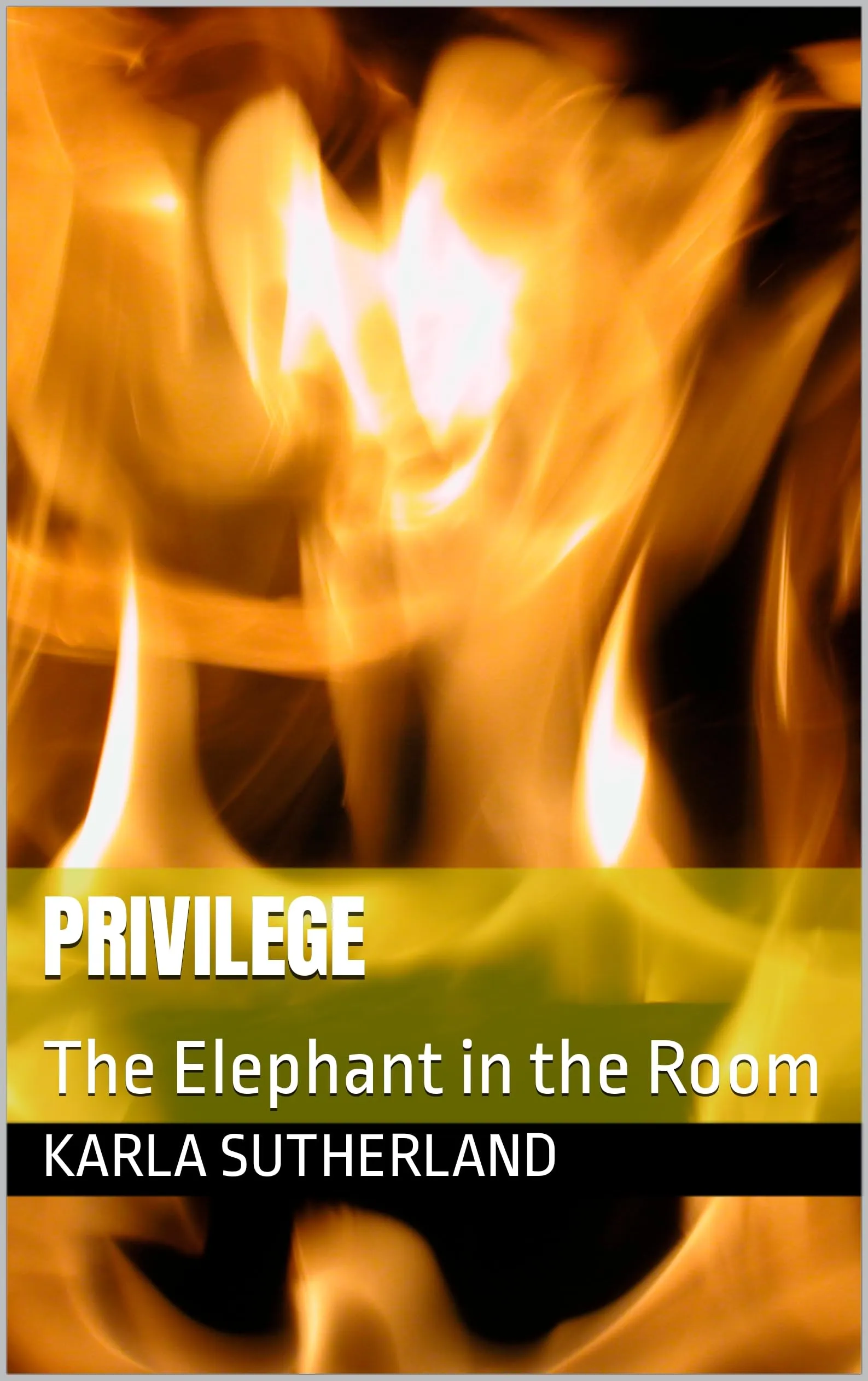 Privilege: The Elephant in the Room by Toolemera Press