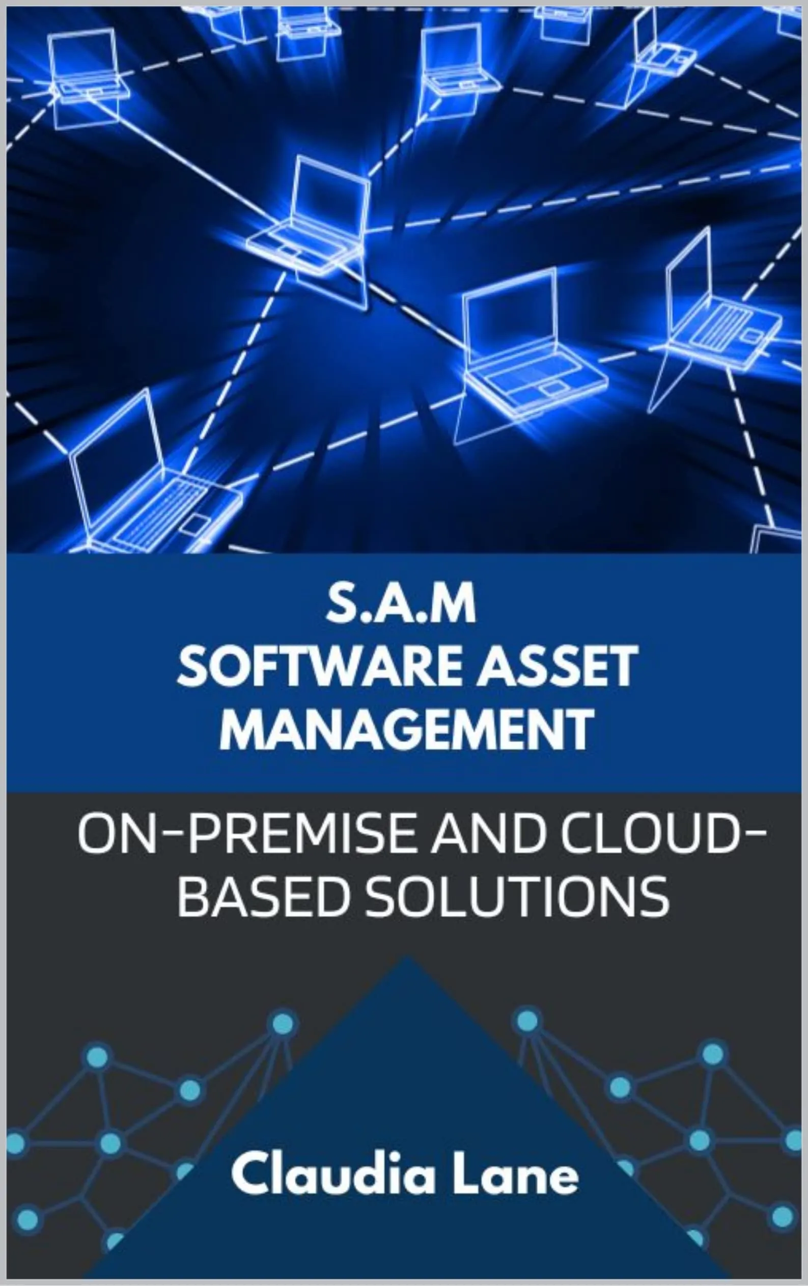 S.A.M. Software Asset Management Solutions - On-Premise & Cloud-Based Tools for Business Strategy