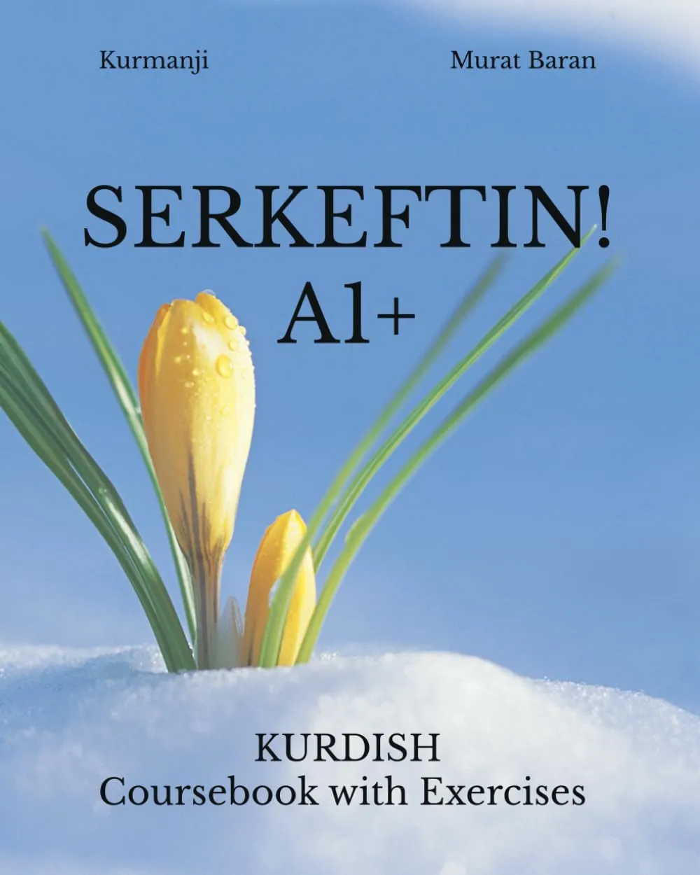 SERKEFTIN! A1+ Kurdish Coursebook with Exercises for Beginners - Black & White Content