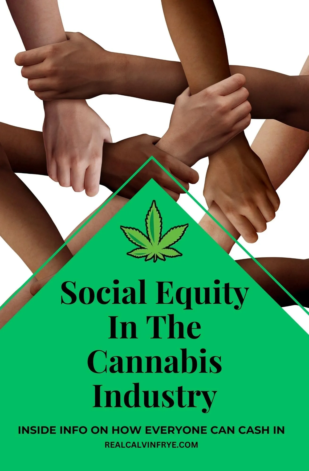 Social Equity in Cannabis Industry: Insights for Everyone to Benefit