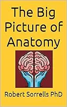 The Big Picture of Anatomy by Audible - Comprehensive Guide to Human Anatomy