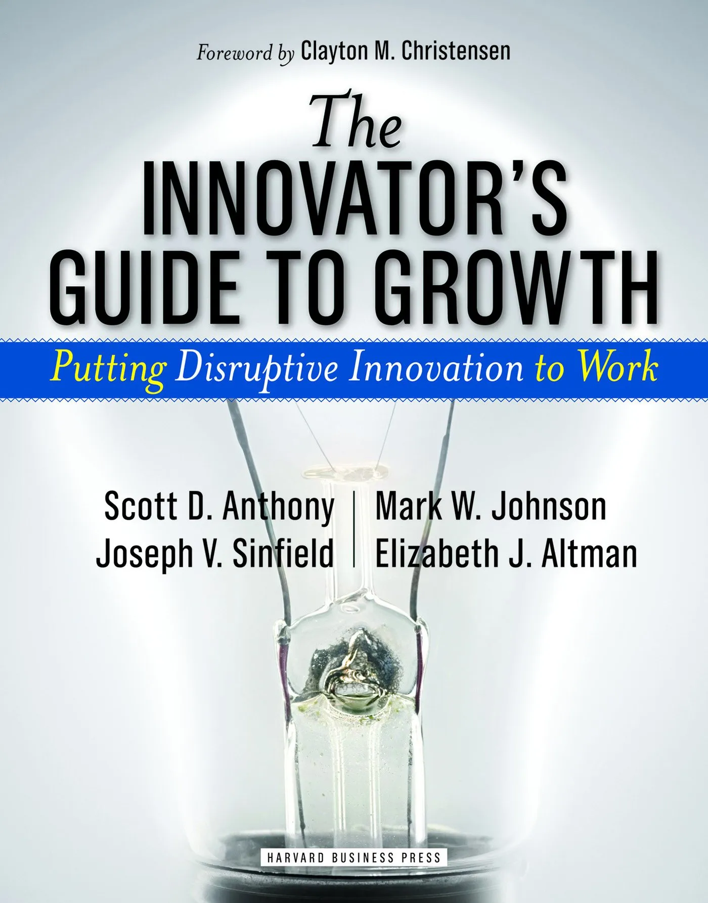 The Innovator's Guide to Growth: Disruptive Innovation Strategies for Business Success