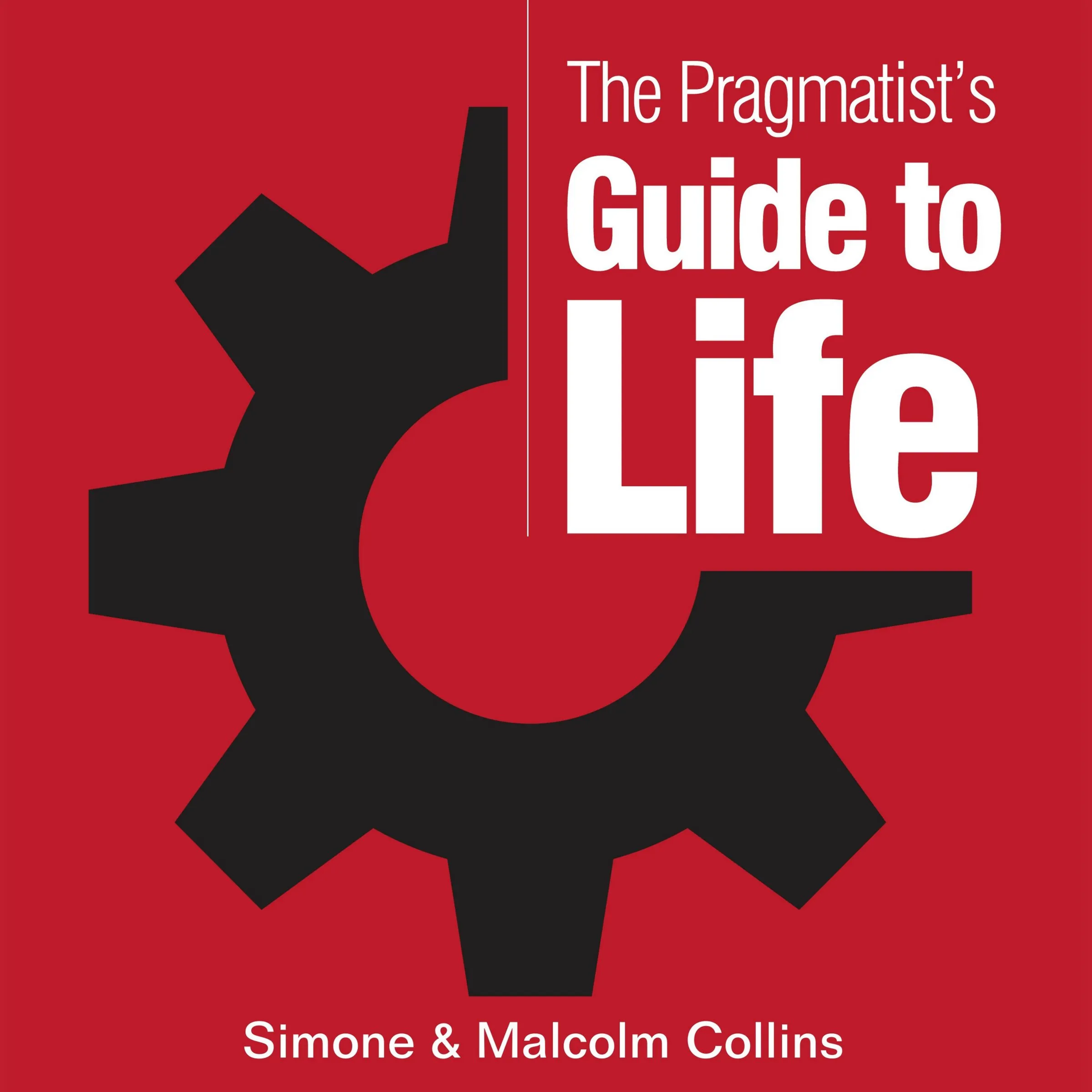 The Pragmatist's Guide to Life: Create Your Own Answers to Life's Biggest Questions