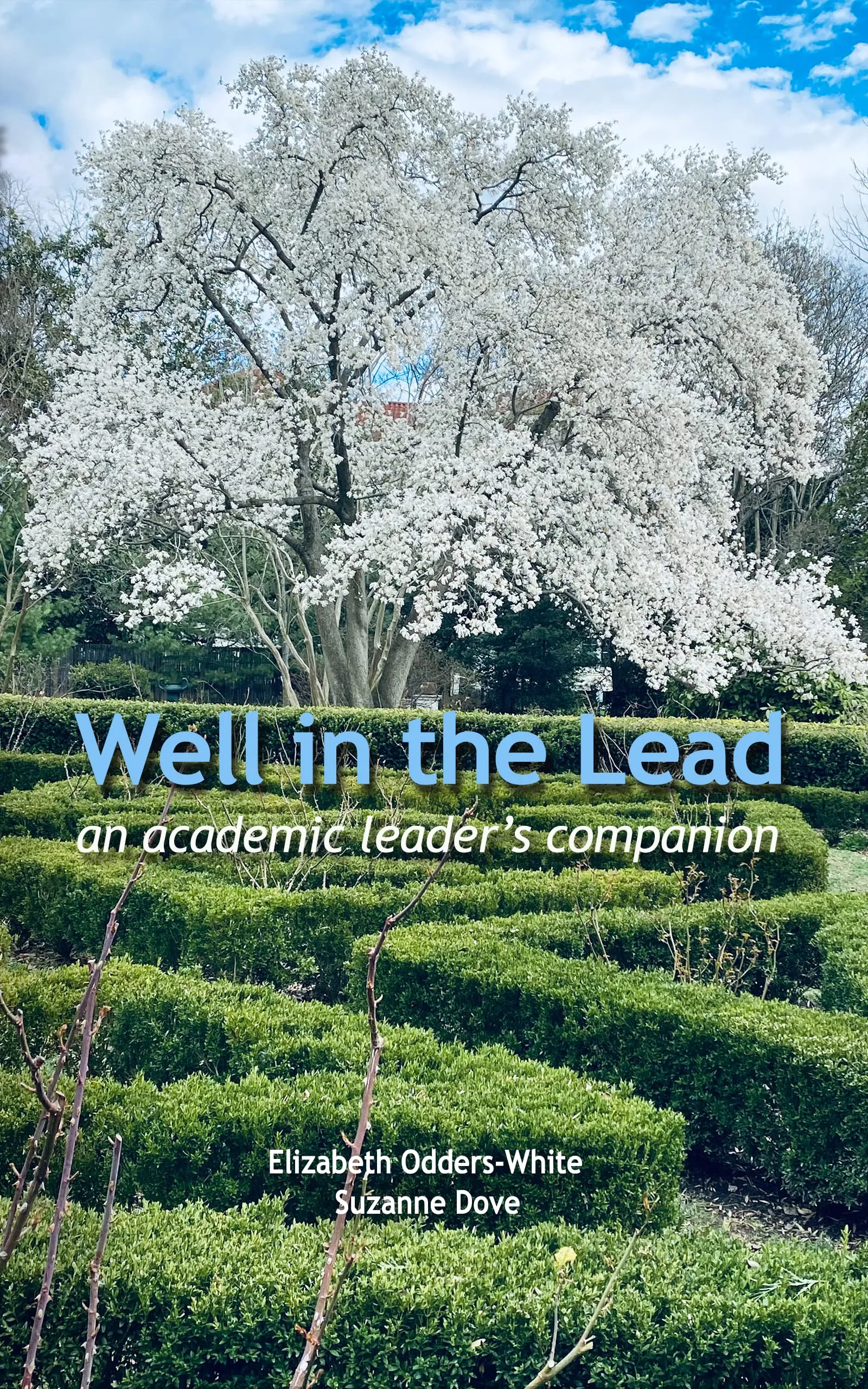 Well in the Lead: An Academic Leader’s Companion by Stylus Publishing